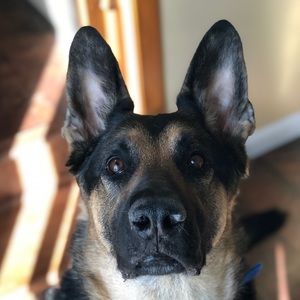 Meet your Posher, Emma